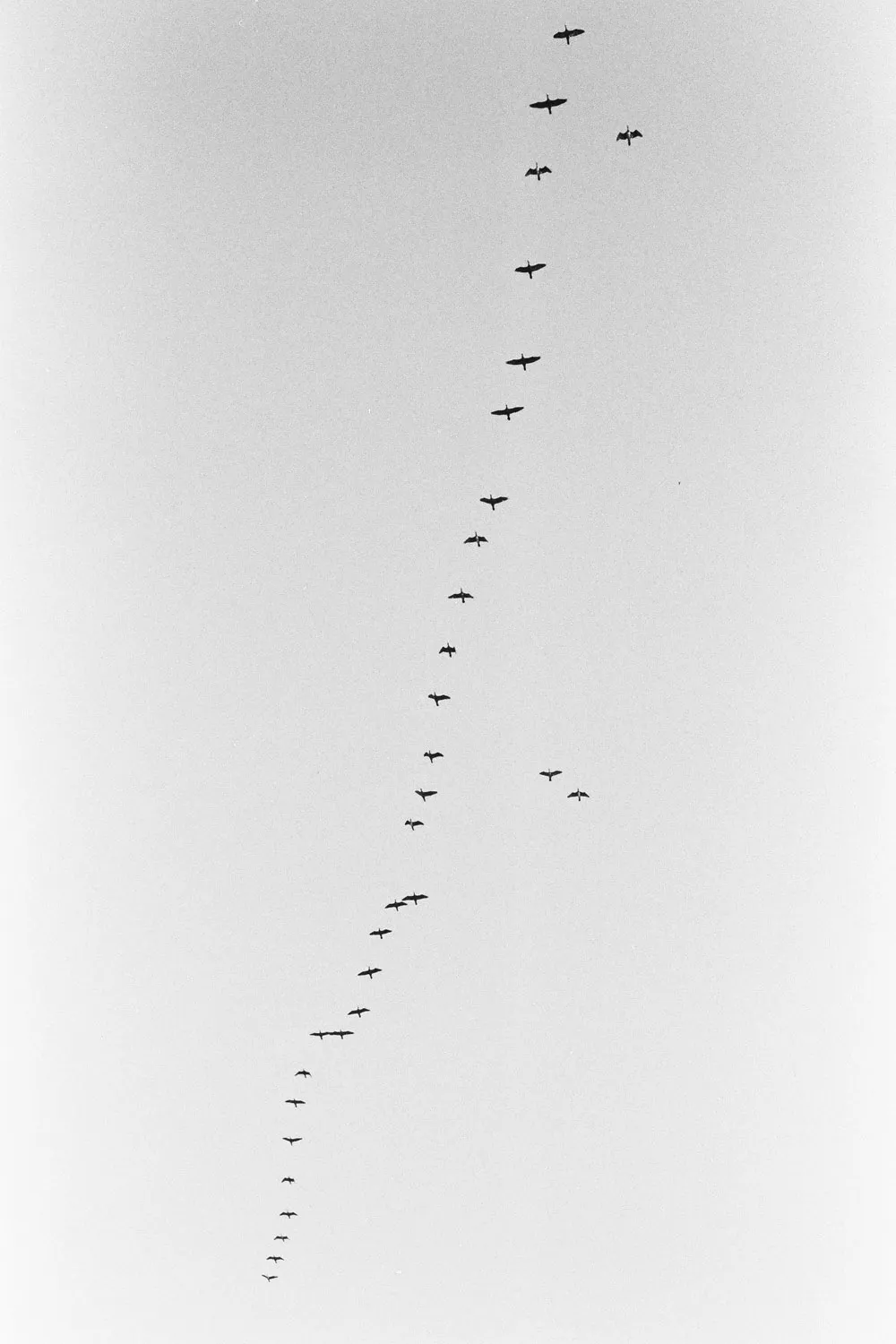 Negative Space — series cover photograph