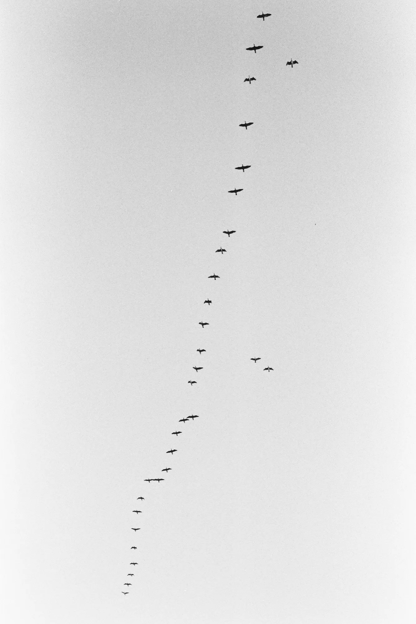 Negative Space — series cover photograph