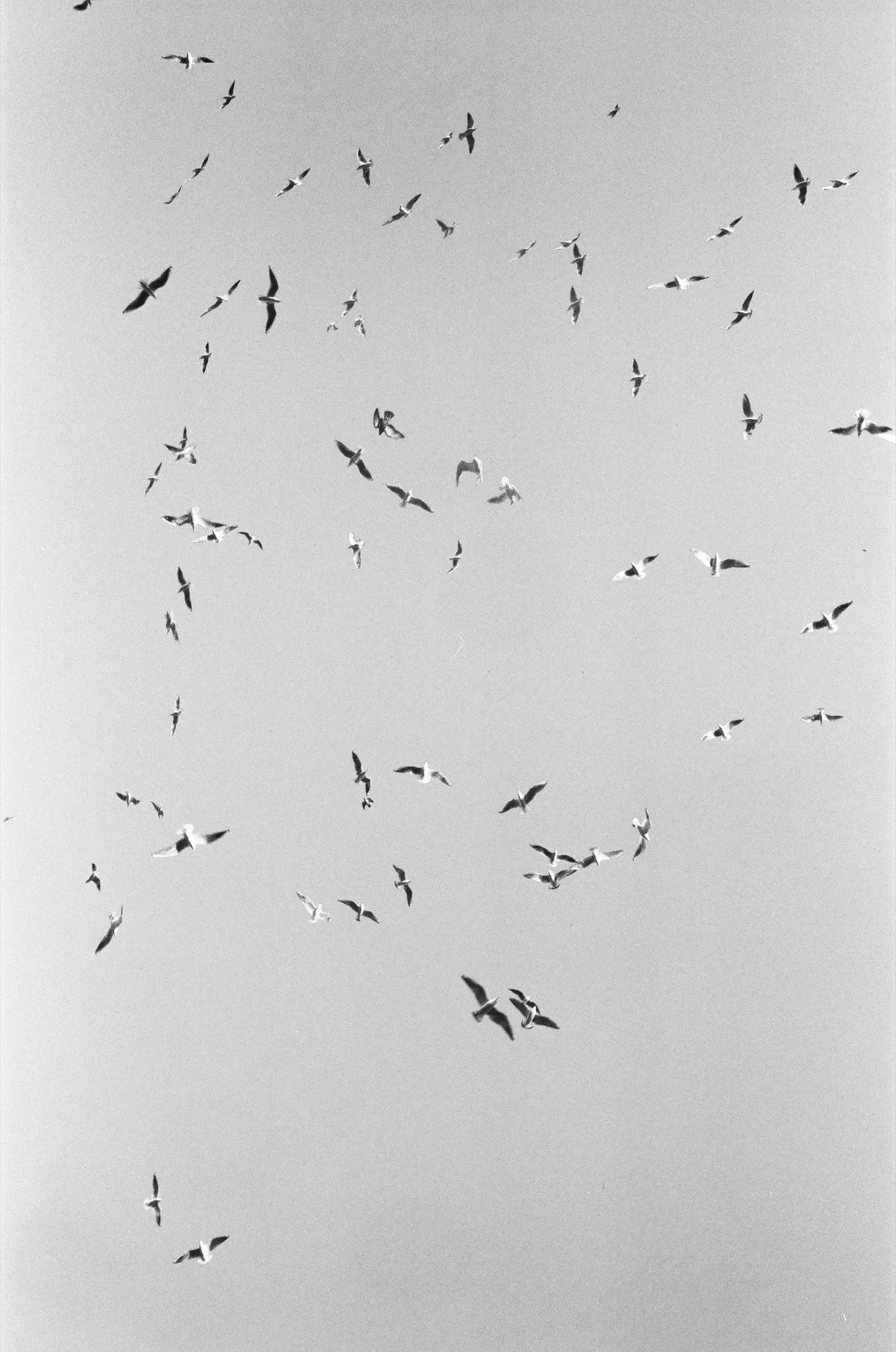 Negative Space photograph, Dubai, United Arab Emirates · 2016