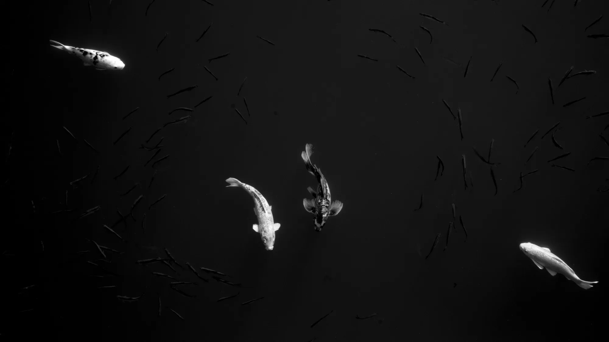 Negative Space photograph, Hong Kong, China · 2024