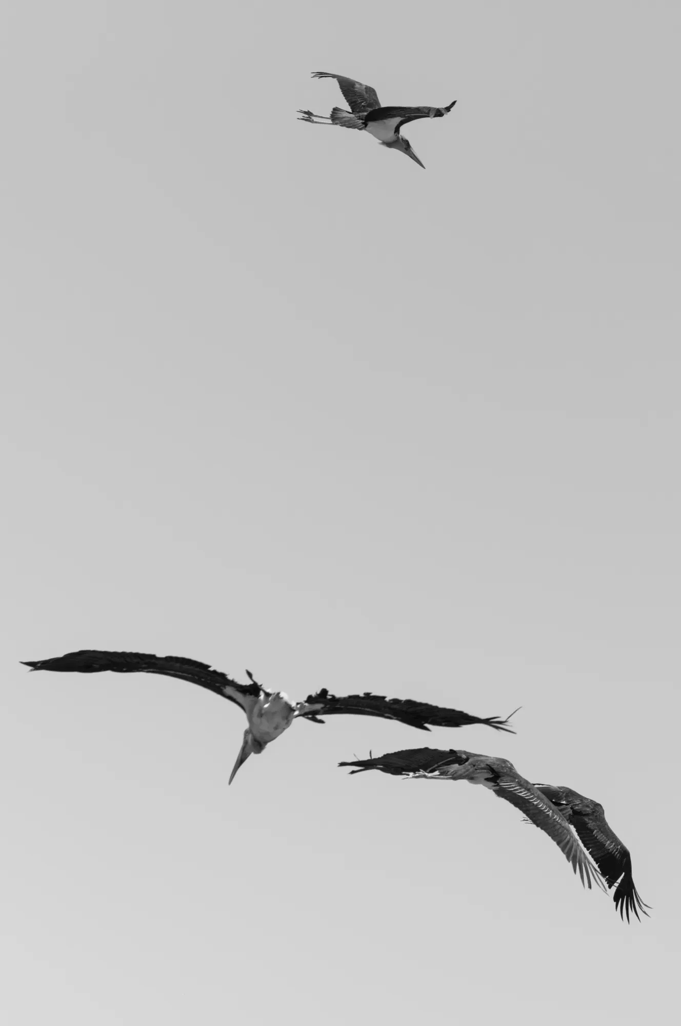 Negative Space photograph, Qingyuan, China · 2025