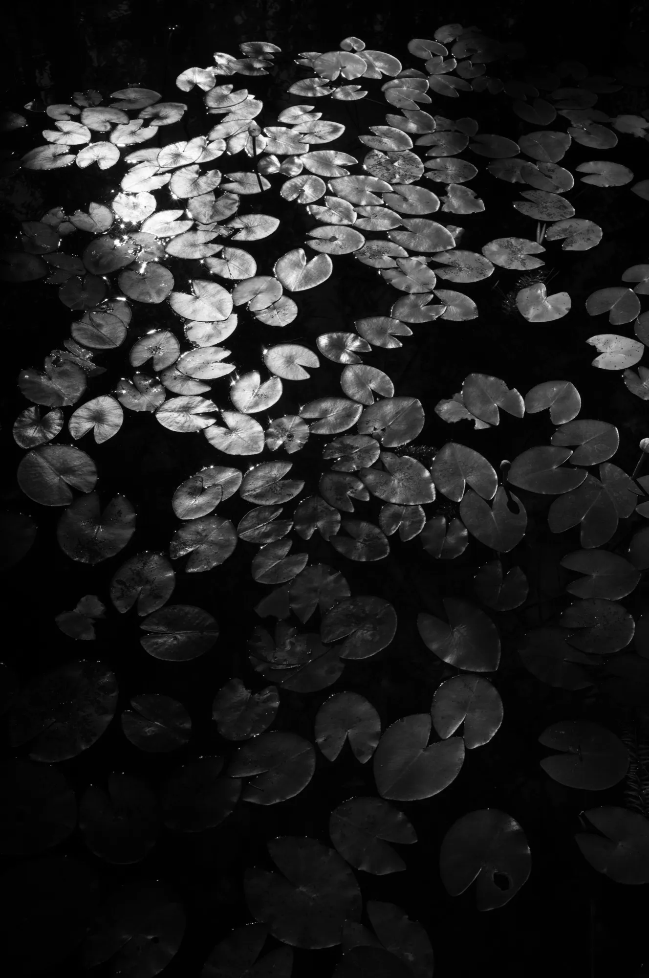 Negative Space photograph, Taichung, Taiwan · 2026