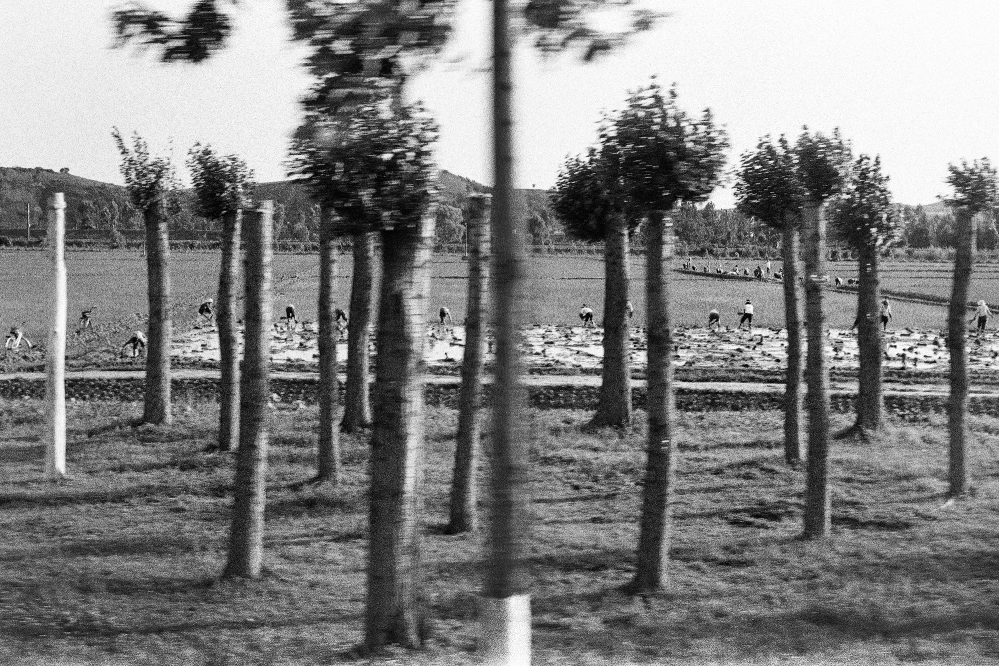 North Korea photograph, North Korea · 2015