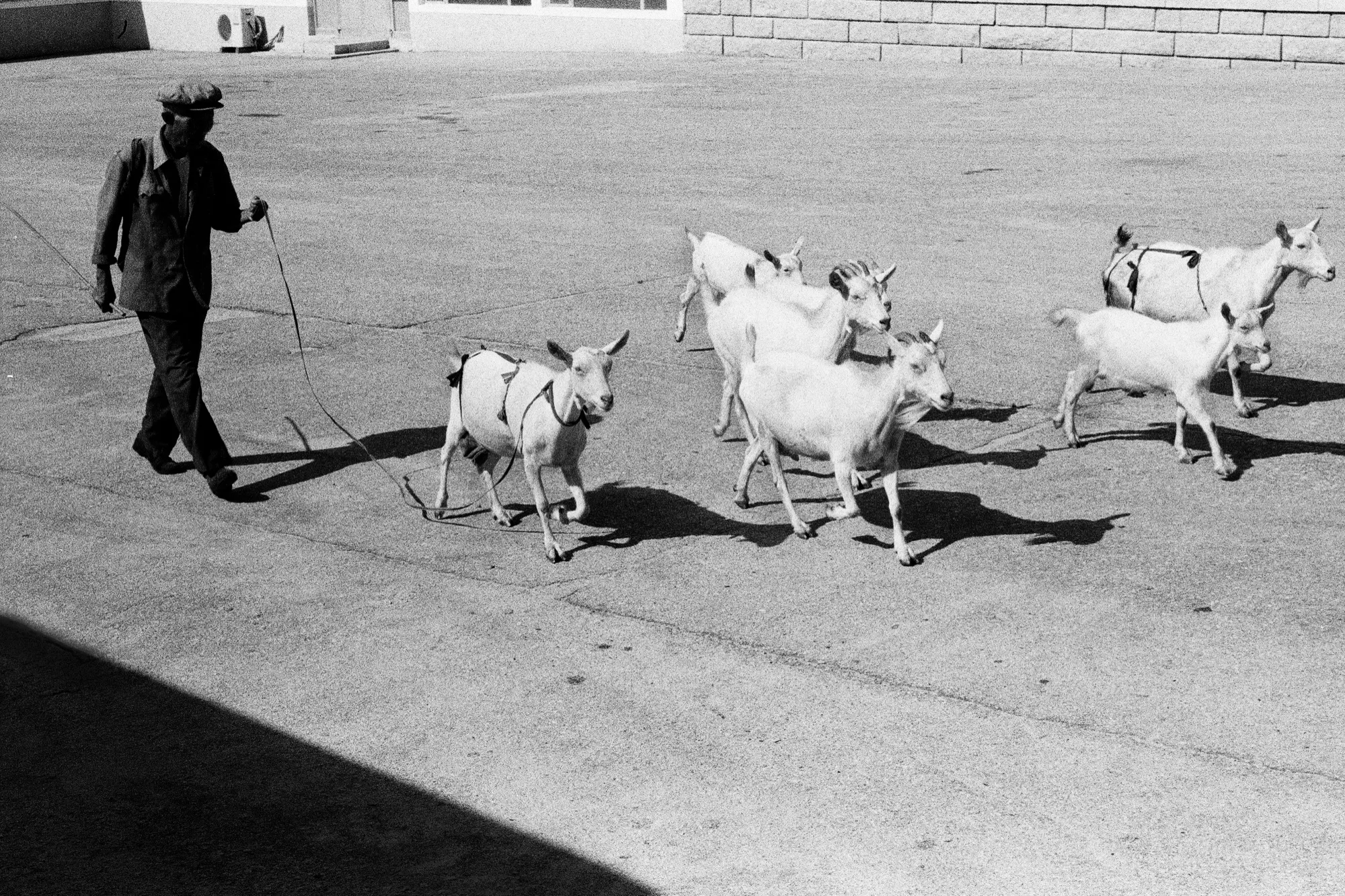 North Korea photograph, North Korea · 2015