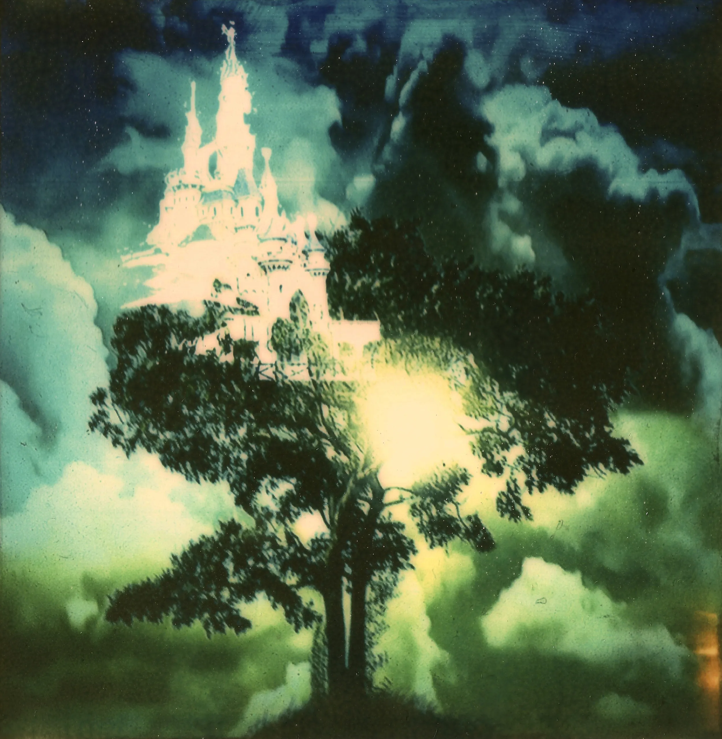 Polaroids photograph, Polaroid 02