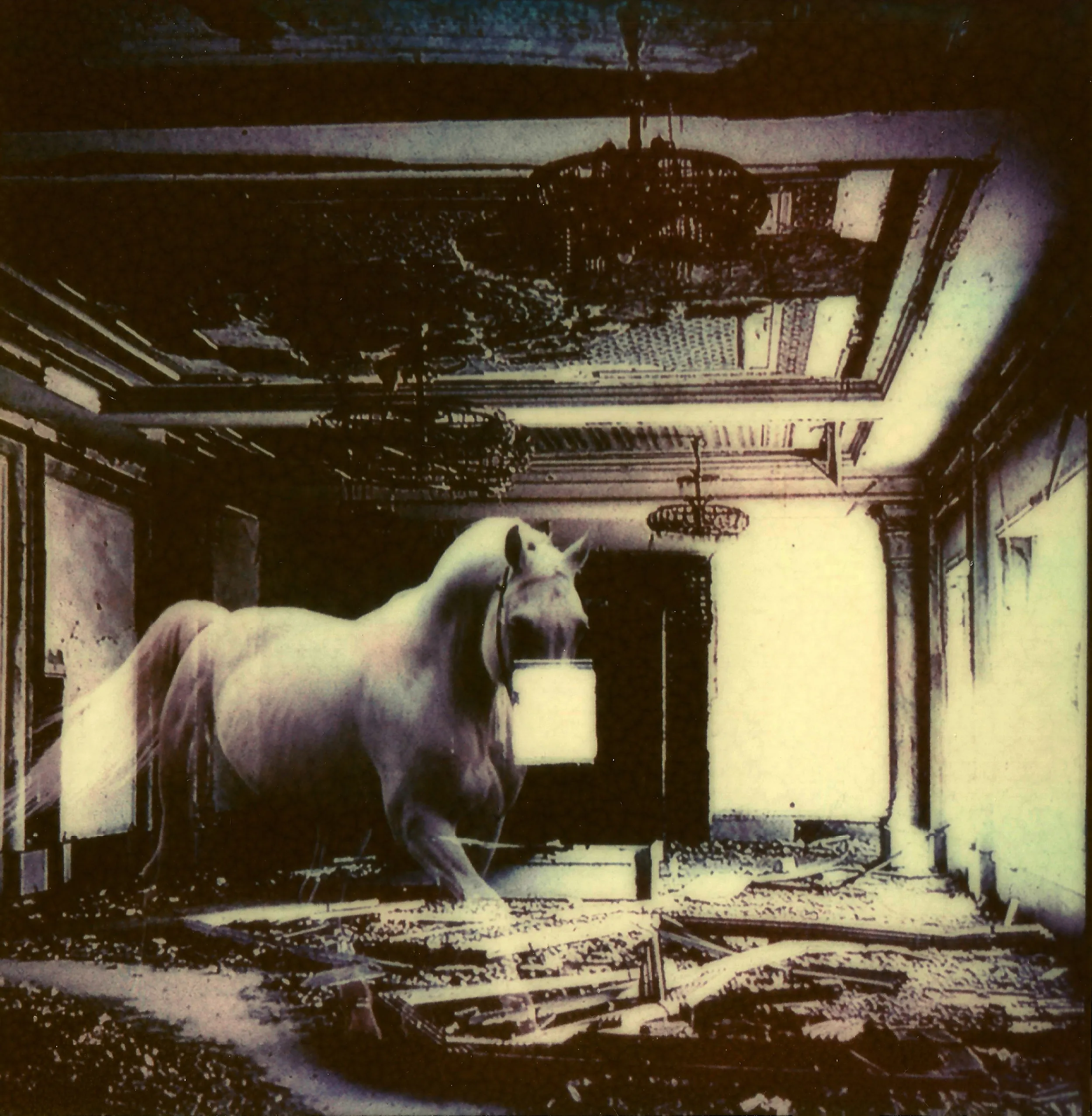 Polaroids photograph, Polaroid 03