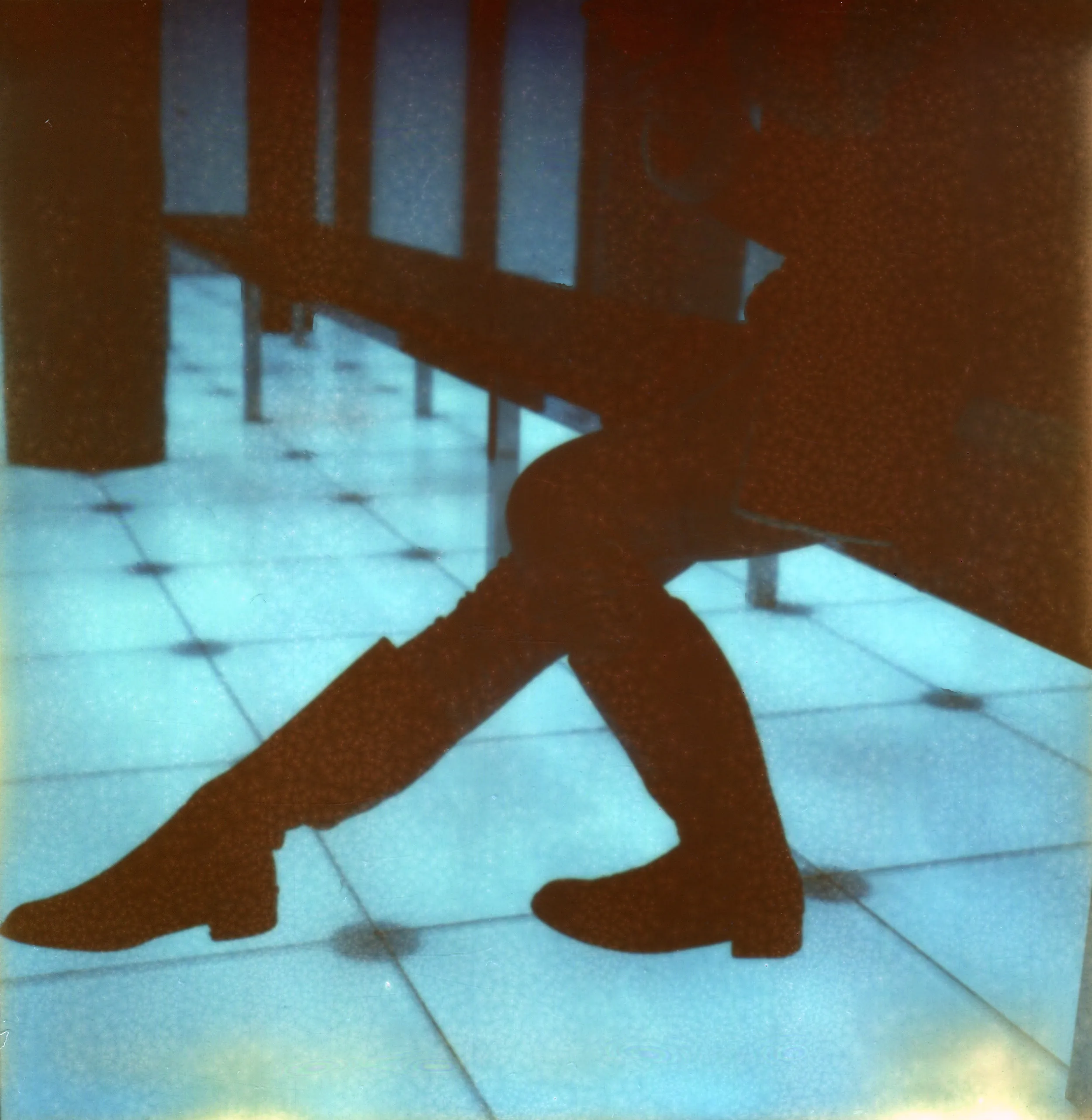 Polaroids photograph, Polaroid 21