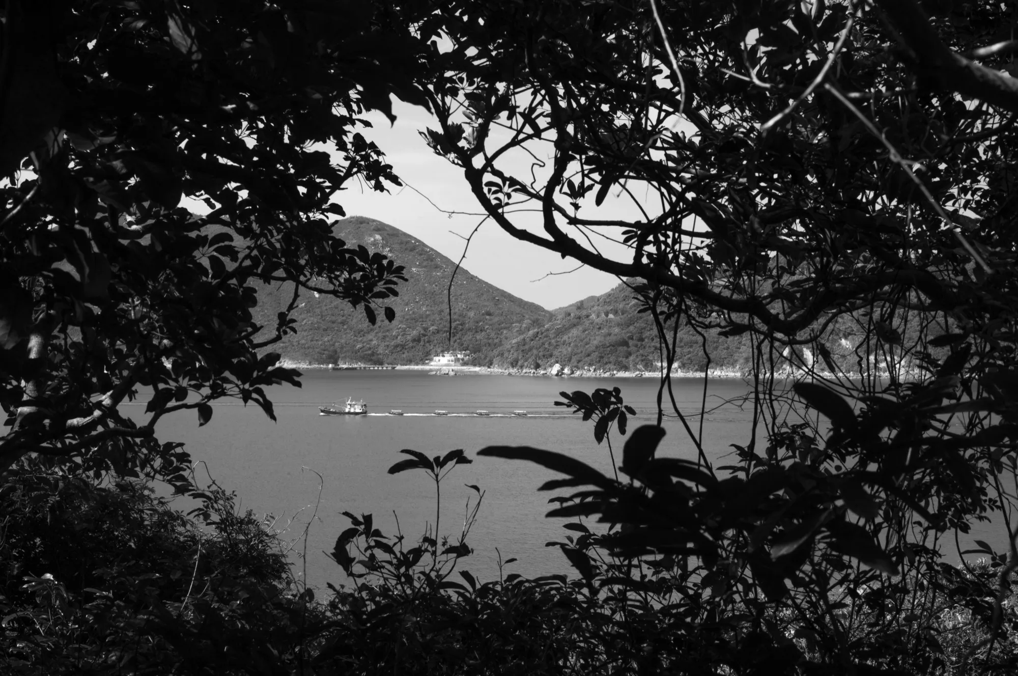 Sea Level photograph, Hong Kong, China · 2024