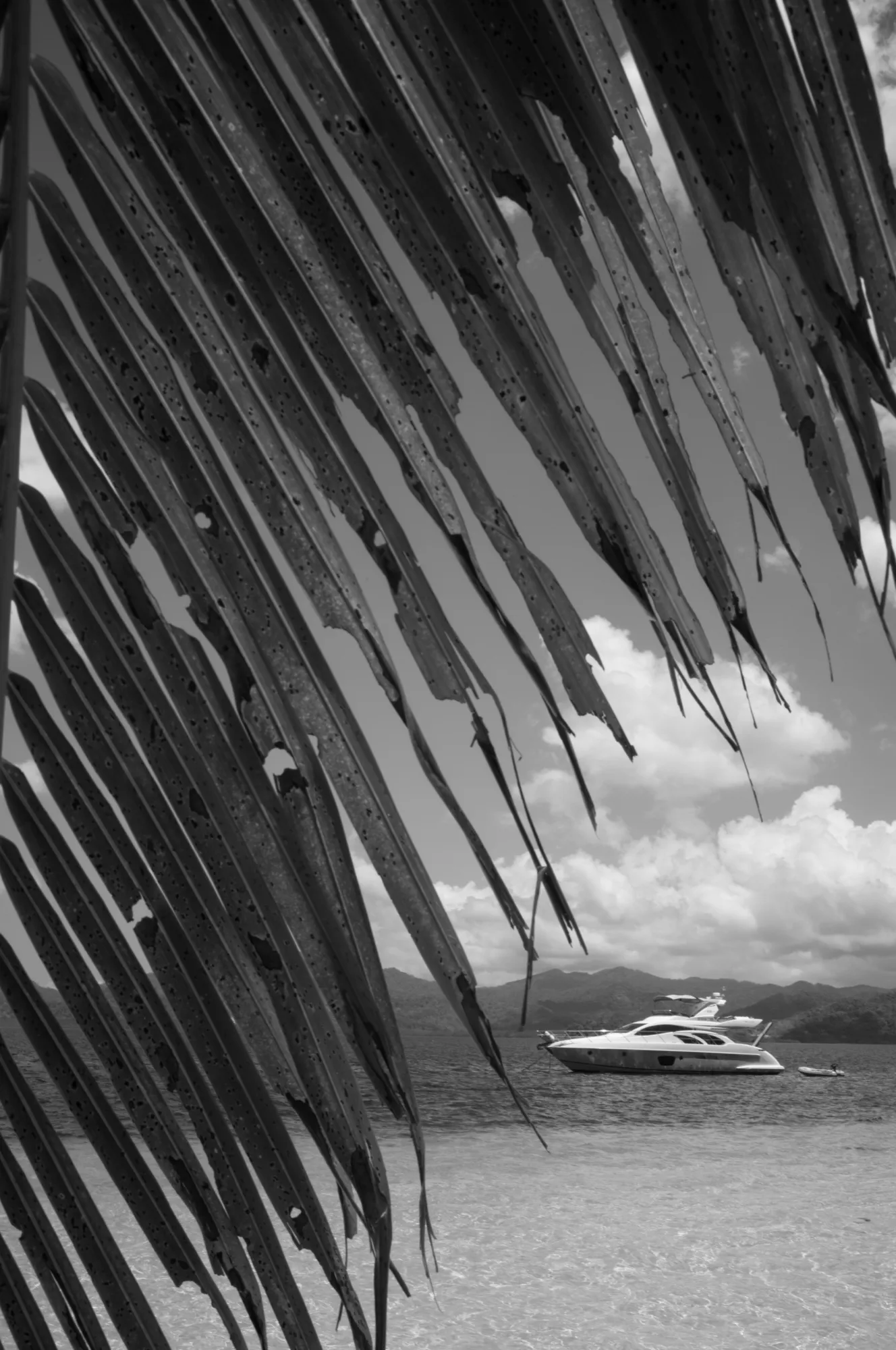 Sea Level photograph, El Nido, Philippines · 2026