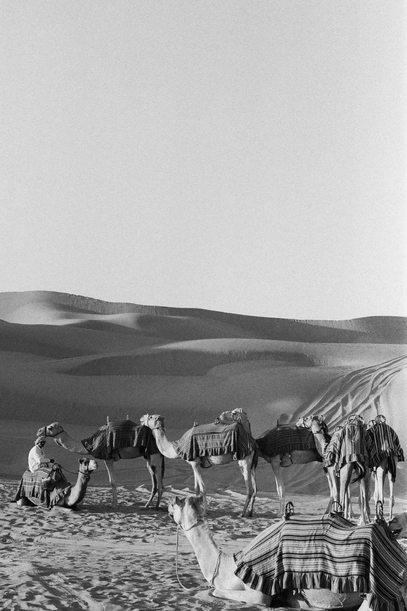 Urban Expression photograph, Liwa, United Arab Emirates · 2016