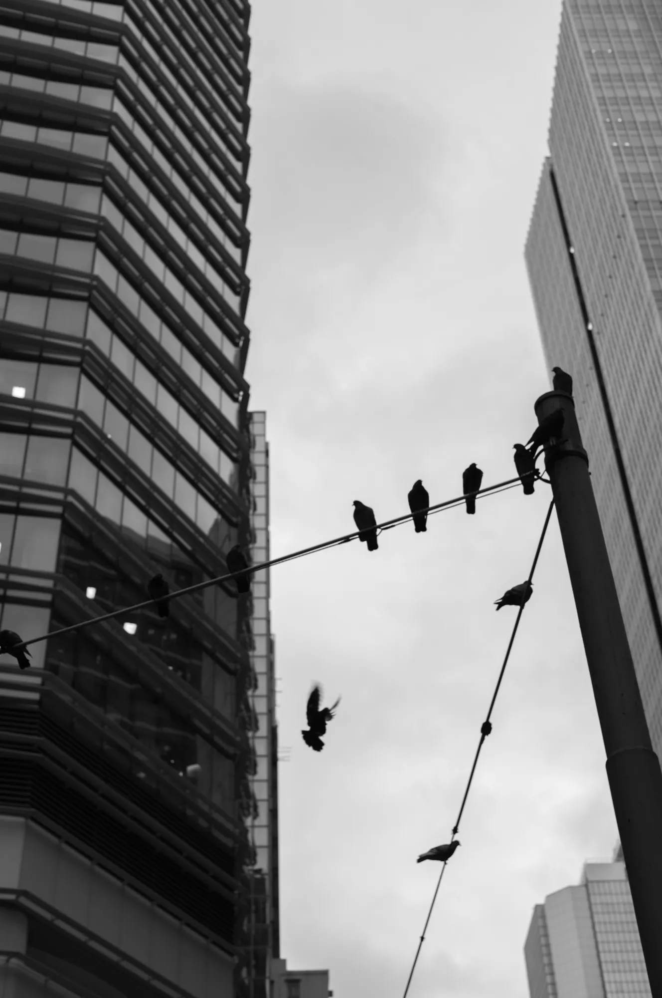 Urban Expression photograph, Hong Kong, China · 2023