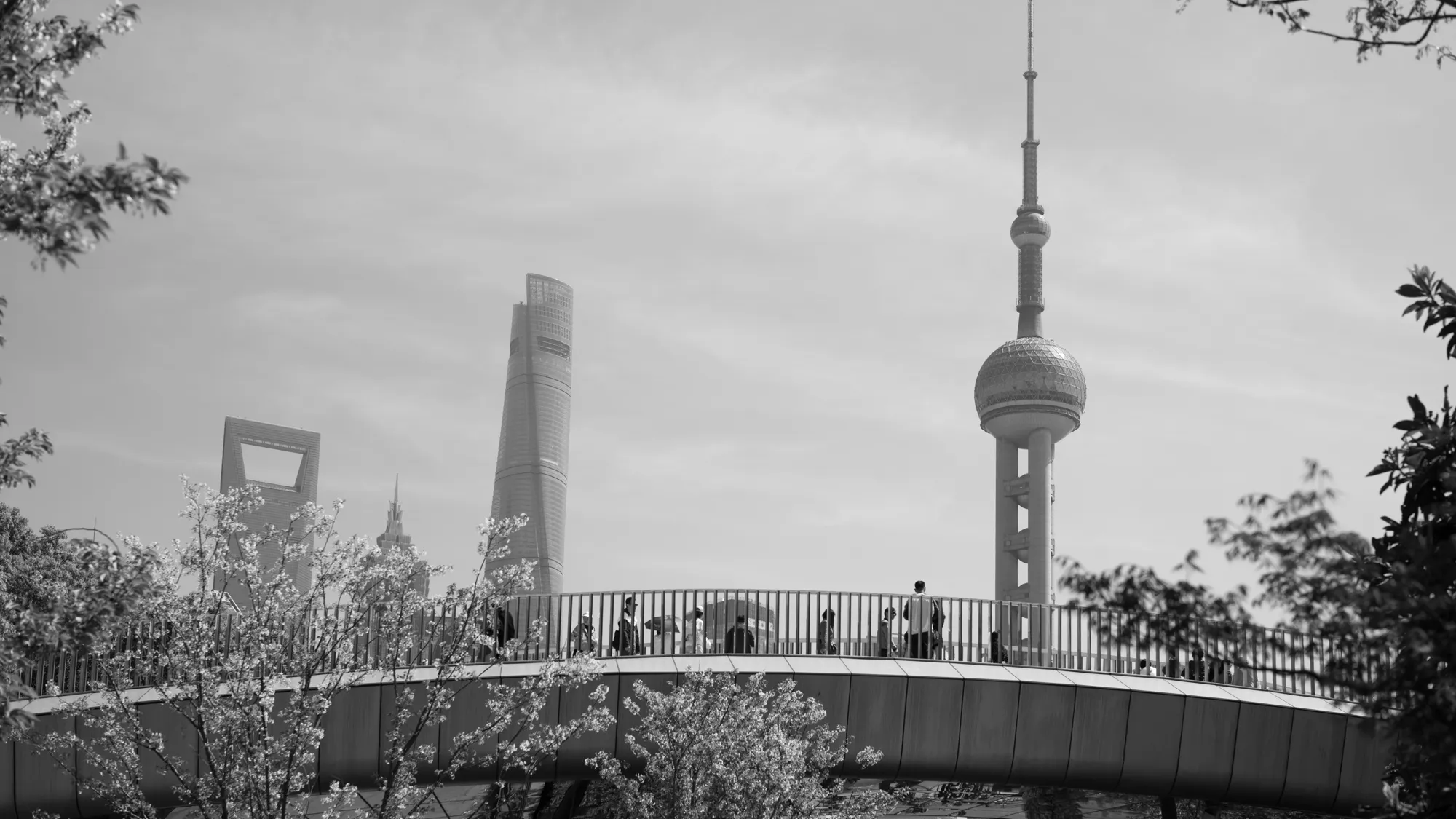 Urban Expression photograph, Shanghai, China · 2024
