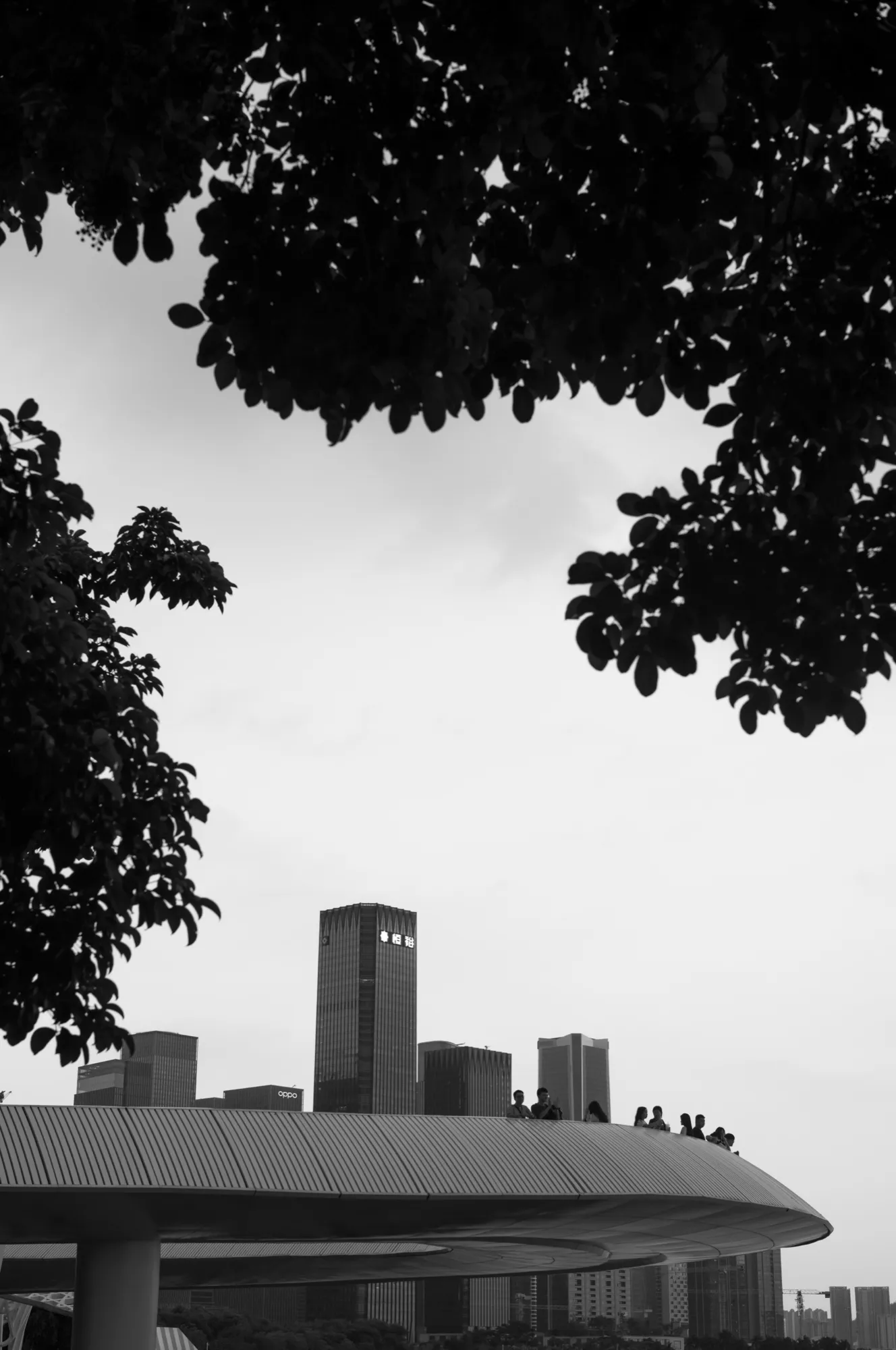 Urban Expression photograph, Shenzhen, China · 2024